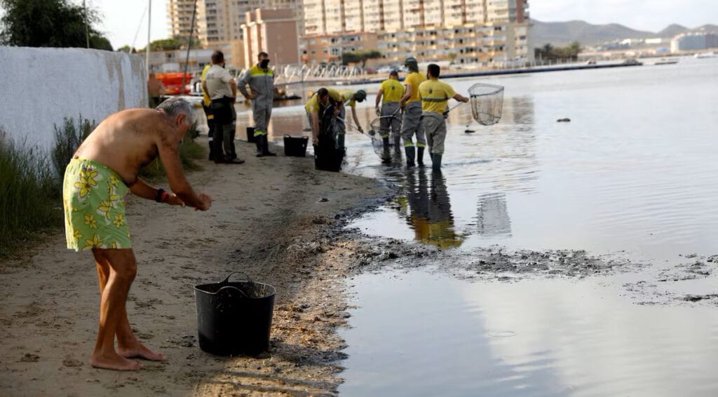 Un vecino ayuda en la retirada de peces muertos en el mar Menor