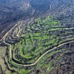 Vista aérea de las consecuencias de los incendios de 2021 en las colinas de Jerusalén.