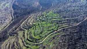 Vista aérea de las consecuencias de los incendios de 2021 en las colinas de Jerusalén.