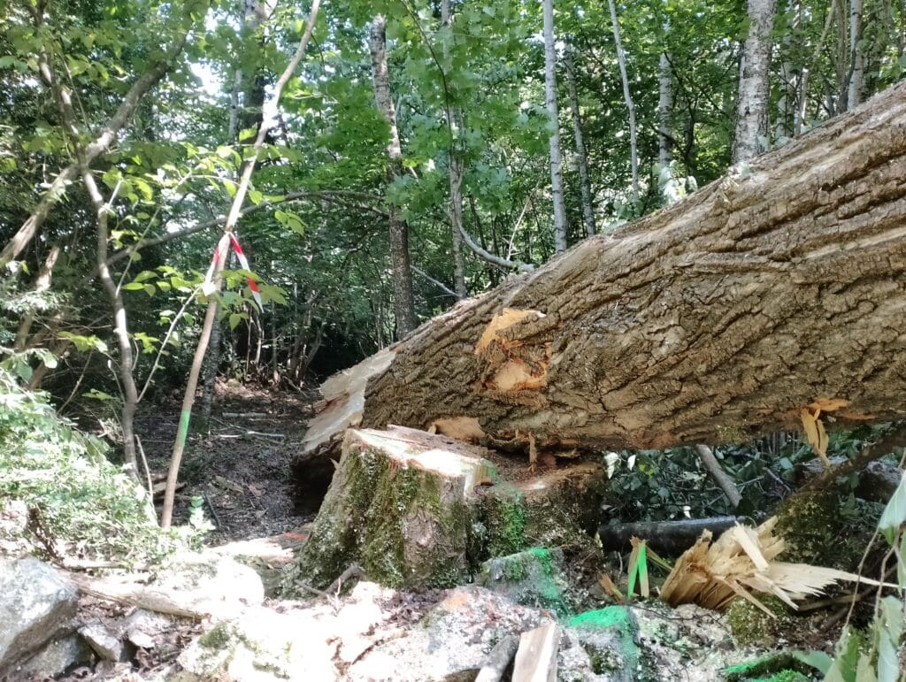 LEITNER incumple la Declaración de Impacto Ambiental en la construcción de la telecabina de Benasque.