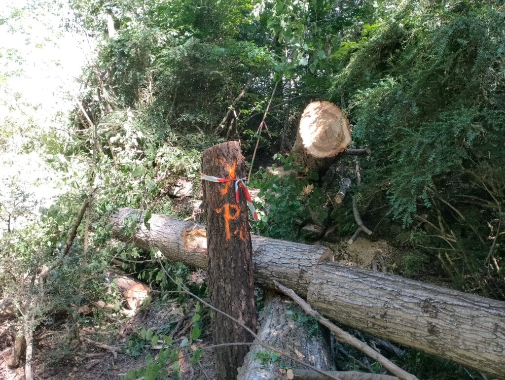 LEITNER incumple la Declaración de Impacto Ambiental en la construcción de la telecabina de Benasque.
