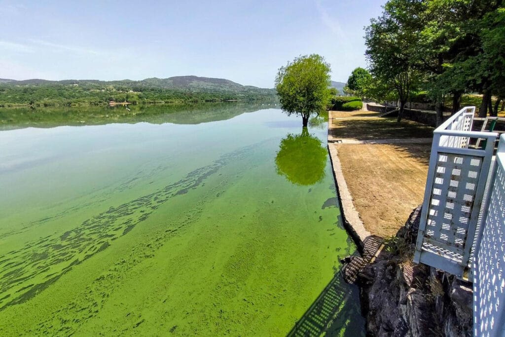 Embalse de As Conchas - Lobera, Galicia. Foto de Deva Mar Escobedo - El Salto.