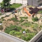 TALAN LOS ÁRBOLES DE UN JARDÍN A PESAR DE LA OPOSICIÓN DE VECINOS Y ECOLOGISTAS.