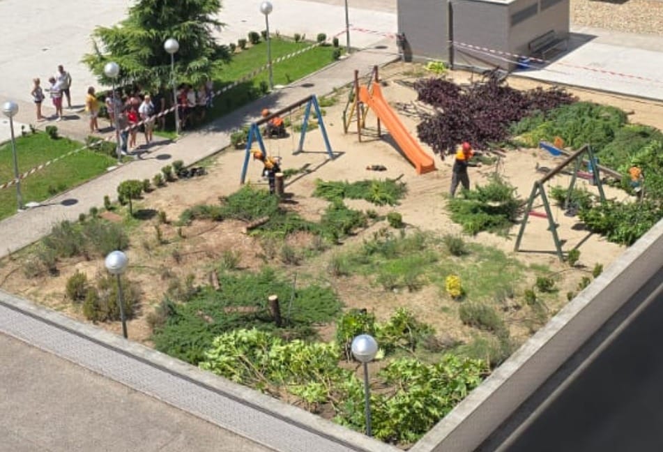 TALAN LOS ÁRBOLES DE UN JARDÍN A PESAR DE LA OPOSICIÓN DE VECINOS Y ECOLOGISTAS.