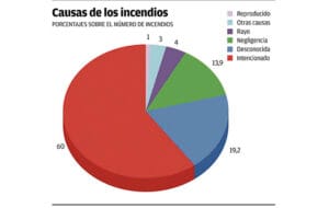 Causas de las incendios forestales en España.