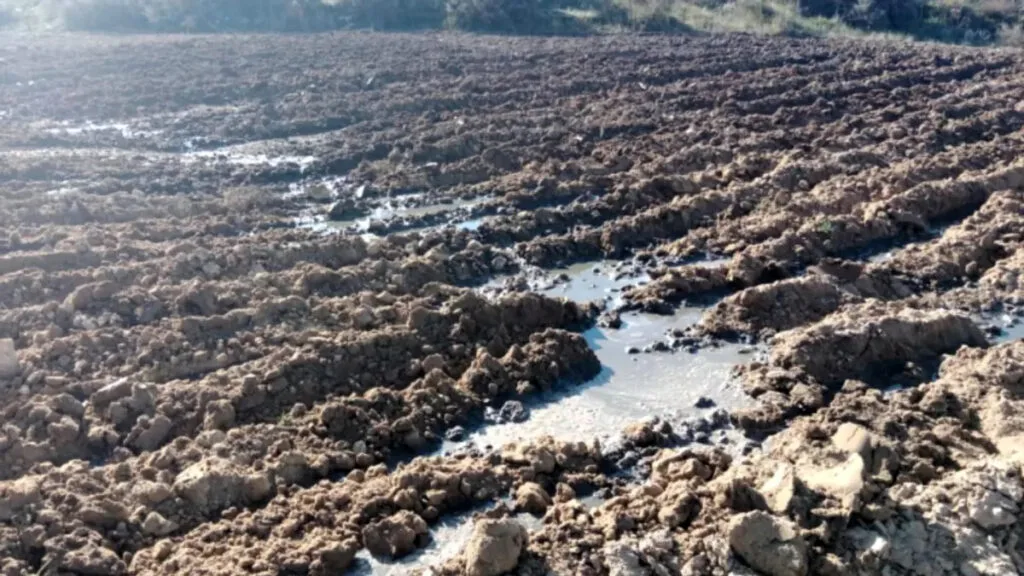 Vertido de purines en fincas de Carboneras de Guadazaón en noviembre de 2023 Pueblos Vivos Cuenca.