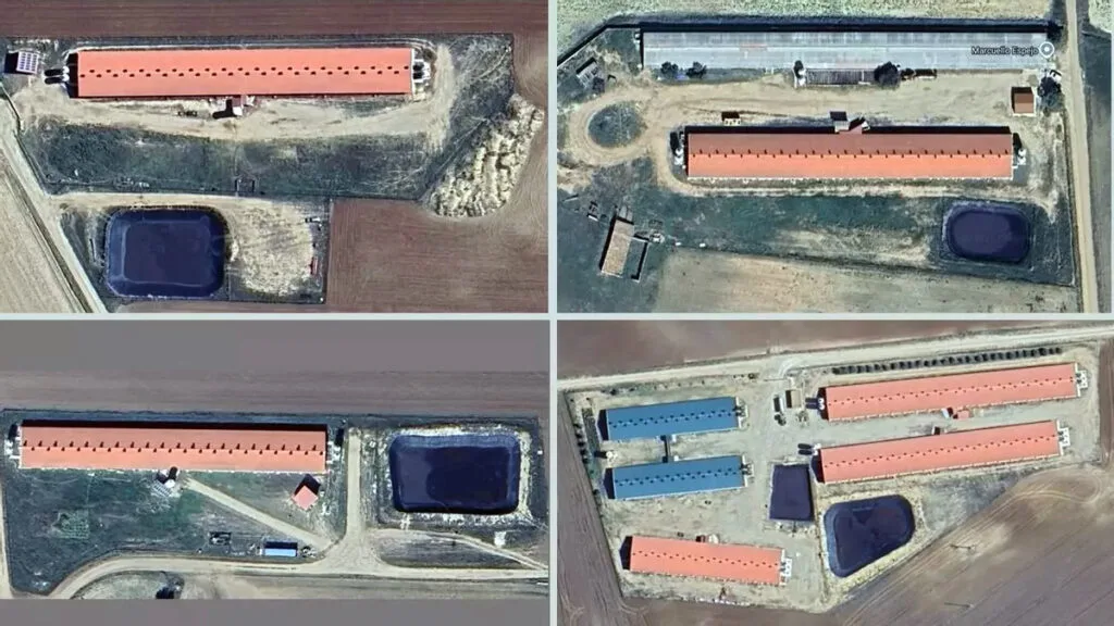 Vista aérea de las cuatro macrogranjas porcinas activas en Carboneras de Guadazaón. Fotografía: Pueblos Vivos Cuenca.