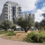 Vecinas y Ecologistas denuncian la tala presuntamente ilegal de todos los ejemplares adultos de Olmo de Siberia presentes en la parcela. De Ecologistas en Acción Suroeste de Madrid.