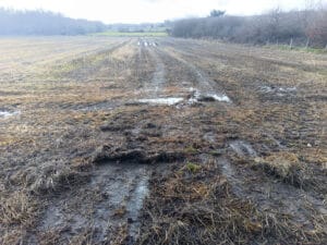 Parcelas da Limia afectadas por vertidos incontrolados e excesivos de xurros (purines).