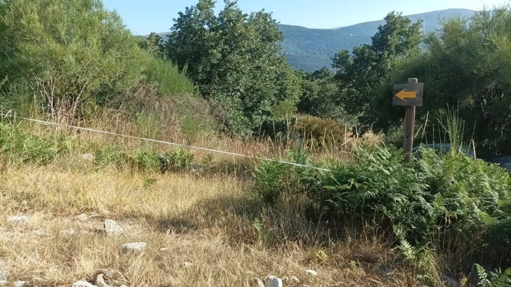 Fotografía de Iris A. Luz.