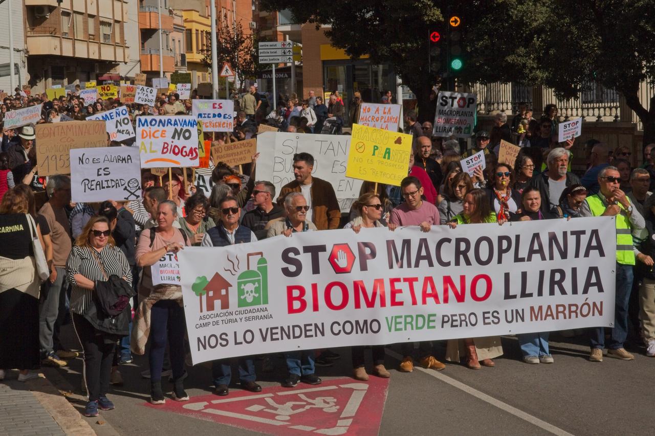 contestaci-n-de-los-ciudadanos-afectados-al-manifiesto-de-the-green